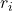 Rendered by QuickLaTeX.com r_i