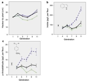 La moyenne de différents traits a divergé significativement entre les lignées durant l’évolution expérimentale.