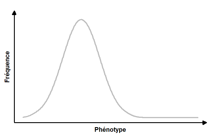 Graphique animé présentant le changement de la fréquence d’un phénotype, par la réponse à la sélection, causé par un changement des paramètres S ou h2. Le paramètre S est laissé constant à une valeur de 1 alors qu’on varie la valeur de h2 entre 0 et 0,8. La réponse à la sélection est d’abord nulle lorsque h2 est de zéro, mais augmente par la suite. La courbe se déplace vers la droite. De la même manière, le paramètre h2 est laissé constant à une valeur de 1 alors qu’on varie la valeur de S entre 0 et 0,8. La réponse à la sélection est d’abord nulle lorsque S est de zéro, mais augmente par la suite. La courbe se déplace vers la droite.