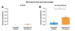 Un graphique à barre présente le succès reproducteur moyen pour des individus de la population de Wulai et du Mont Hehuan lorsqu’ils vivent soit à Wulai ou au Mont Hehuan en été. Le succès reproducteur est très faible à Wulai pour les deux populations. Les individus du Mont Hehuan ont un meilleur succès reproducteur que ceux originaires de Wulai lorsqu’ils vivent dans leur environnement d’origine.