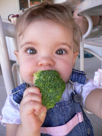 Texte alternatif : Un bambin qui porte un t-shirt rose et une salopette en jeans tient une grosse fleurette de brocoli devant sa bouche. Son expression faciale et ses yeux écarquillés et brillants laissent transparaitre une émotion positive.